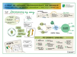 Gezeichnetes Protokoll des Impulsvortrags des National Biodiversity Data Centre of Ireland 