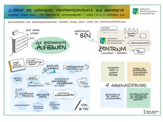 Gezeichnetes Protokoll des Impulsvortrags aus dem Monitoringzentrum: Menschen.Wissen.Daten - für den Erhalt der Biodiversität zusammenbringen