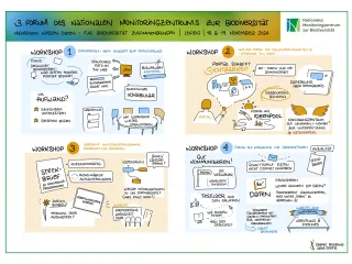 Gezeichnetes Protokoll der vier Workshops