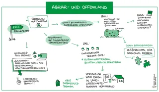 Gezeichnetes Protokoll des Workshops zum Lebensraum Agrar- und Offenland