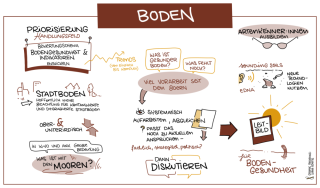 Graphic Recording des Workshops zur Weiterentwicklung des Bodenbiodiversitätsmonitorings