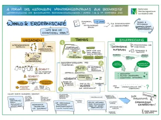 Graphic Recording der Diskussionen entlang lebensraumübergreifender Zielen am zweiten Tag des Forums