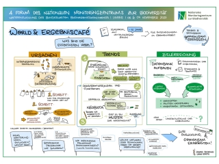 Graphic Recording der Diskussionen entlang lebensraumübergreifender Zielen am zweiten Tag des Forums