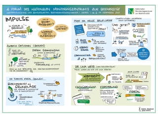 Gezeichnetes Protokoll der Impulsvorträge