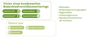 Eine Grafik stellt die Vision eines bundesweiten Bodenbiodiversitätsmonitoring dem Status Quo gegenüber. Betrachtet werden Methoden, Bodenorganismengruppen, Begleitdaten, Erfassungsturnus sowie Repräsentanzkriterien der Kulissen. Der Status Quo ist heterogen, unregelmäßig und regional. Die Vision ist ein bundesweites, einheitliches, regelmäßiges und ökosystemares Monitoring.