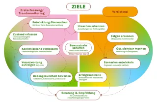 Zustand erfassen: Lebensraumübergreifende Bestandsaufnahme. Entwicklung überwachen: Zeitlicher Trend, Bestandsentwicklung. Kenntnisstand verbessern: Lebensraumtypische Gemeinschaften. Bodengesundheit bewerten: Indikatoren, Referenzwerte, Zielzustände. Verantwortung aufzeigen: Datengrundlage für die Erstellung Roter Listen. Ursachen erkennen: Auswirkungen verschiedener Einflussgrößen. Folgen erkennen: ökosystemar. Ökosystemleistungen sichtbar machen. Szenarien entwickeln: Prognosen über zukünftige Trends