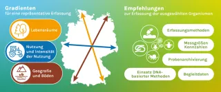 Gradienten für eine Repräsentative Erfassung sind Lebensräume, Nutzung und Intensität der Nutzung Geografie und Böden. Empfehlungen zur Ersterfassung umfassen zur Erfassung ausgewählte Organismen, Erfassungsmethoden, Messgrößen und Kennzahlen, Probenarchivierung, Einsatz DNA-basierter Methoden sowie Begleitdaten.