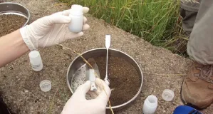 Die Abbildung zeigt den Vorgang der Aliquotierung einer Bodenprobe. Dabei wird eine größere Bodenprobe mit einem Messbecher oder einer Pipette in kleinere, gleich große Portionen aufgeteilt. Dieser Schritt ist wichtig, um die Probe für weitere Analysen vorzubereiten und sicherzustellen, dass die Ergebnisse repräsentativ und vergleichbar sind. Die Darstellung vermittelt den sorgfältigen Umgang mit der Probe und die präzise Vorgehensweise bei der Aufteilung. 