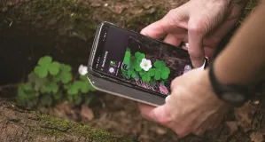 Zwei Hände halten ein Smartphone. Auf den Smartphone ist eine App für die Bestimmung von Pflanzen zu erkennen. 