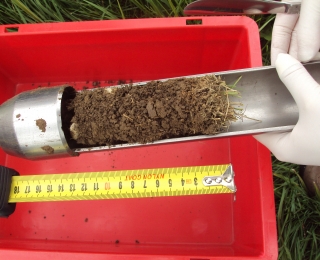 Bodenkern Oberboden eines Graslands im Biodiversitätsexploratorium Hainich-Dün