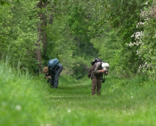 Zwei Naturbeobachterinnen fotographieren im Wald