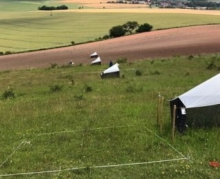 DINA - Fallentransekt am Standort Hofberg (Thüringen)