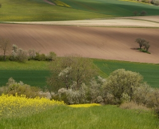 Landschaftsausschnitt in Unterfranken