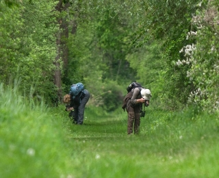 Zwei Naturbeobachterinnen in der Wagbachniederung