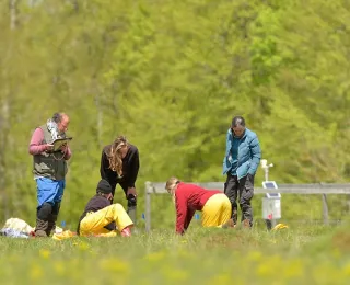 Botaniker*innen der Universität Bern bei Freilandarbeiten auf einem Grünland-Plot im Exploratorium Schwäbische Alb
