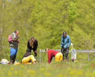 Botaniker*innen der Universität Bern bei Freilandarbeiten auf einem Grünland-Plot im Exploratorium Schwäbische Alb