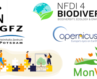 Es sind die Logo der Aussteller des Markplatzes im Rahmen des 2. Forums des NMZB abgebildet (NMZB; GFZ-Potsdam: FERN.Lern, Copernicus; NFDI4Biodiversity; KI-Ideenwerkstatt für Umweltschutz; MonVia).