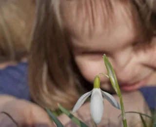 Zwei Kinder betrachten aus nächster Nähe eine Schneeglöckchenblüte im Gras. Beide Kinder sind im Hintergrund unscharf, während die Blume im Vordergrund klar und deutlich sichtbar ist. Die Sonne scheint hell und verleiht der Szene eine frühlingshafte Atmosphäre.
