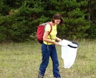 Erfasserin von Tagfaltern mit Netz auf den  Flächen des Nationalen Naturerbes