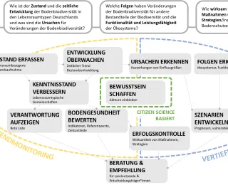 Diese Grafik zeigt die Leitfragen und Ziele des bundesweiten Bodenbiodiversitätsmonitorings. Die Grafik ist in drei Hauptbereiche unterteilt: Leitfragen, sowie Ziele orientiert nach Basisfassung/Trendmonitoring, Frageorientiert und Citizen Science basiert.