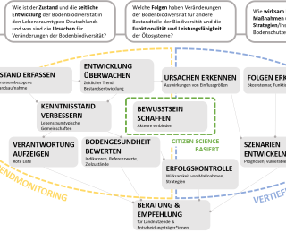 Diese Grafik zeigt die Leitfragen und Ziele des bundesweiten Bodenbiodiversitätsmonitorings. Die Grafik ist in drei Hauptbereiche unterteilt: Leitfragen, sowie Ziele orientiert nach Basisfassung/Trendmonitoring, Frageorientiert und Citizen Science basiert.
