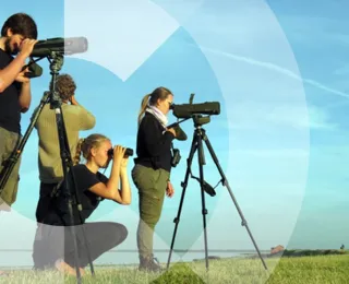 In einer Küstenlandschaften stehen vier Personen, sie beobachten Vögel mit Spektiv und Fernglas