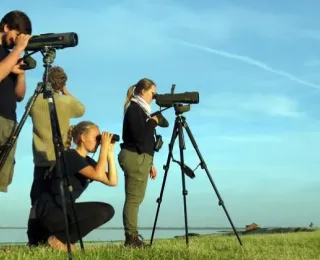 Das Foto zeigt vier Teilnehmende einer Freiwilligenschulung bei der Vogelbeobachtung mit Ferngläsern und Stativen auf einer Deichkrone vor blauem Himmel.